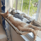 Cama de Janela para Gatos